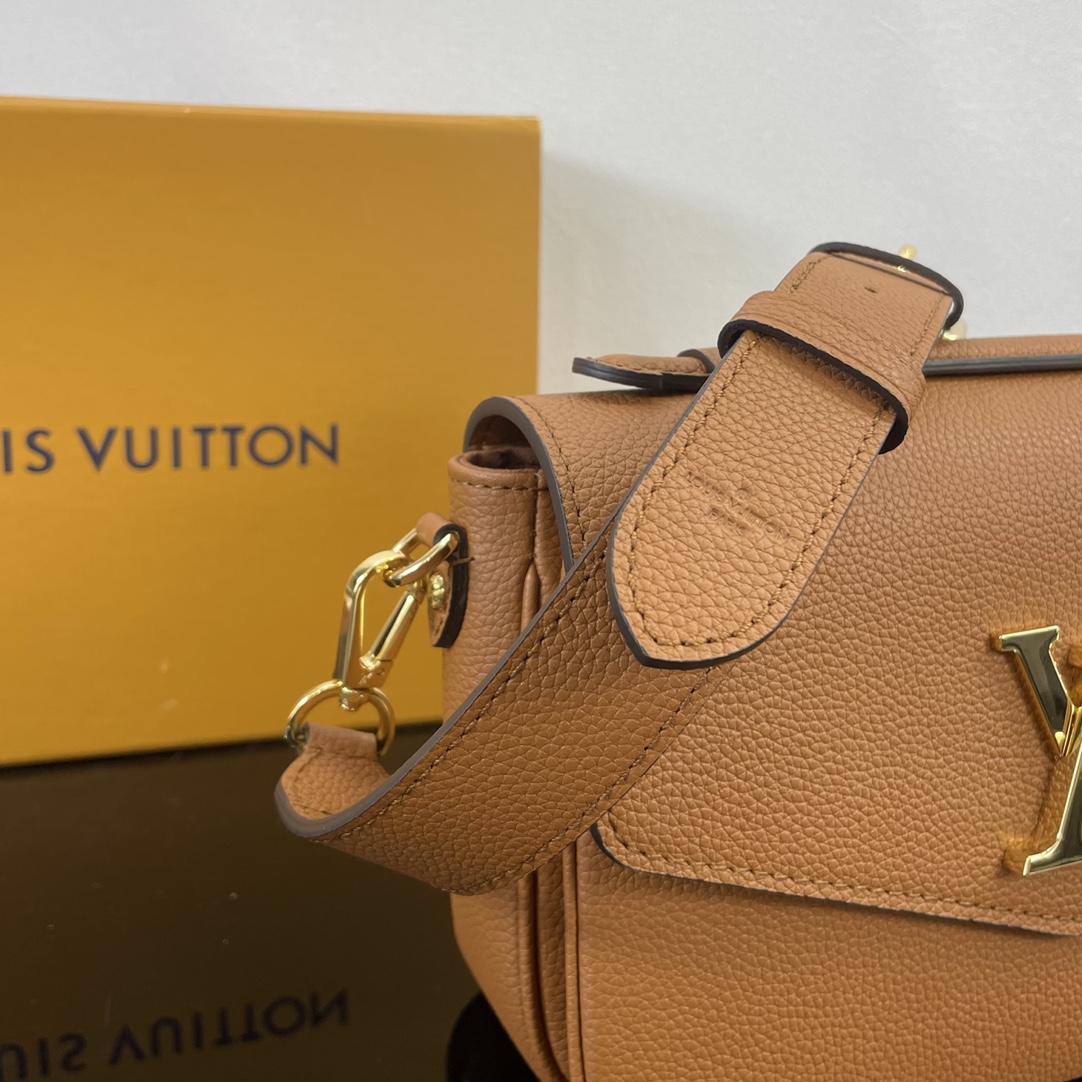 Louis Vuitton Satchel Bags